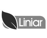 Liniar Double Glazing Kent